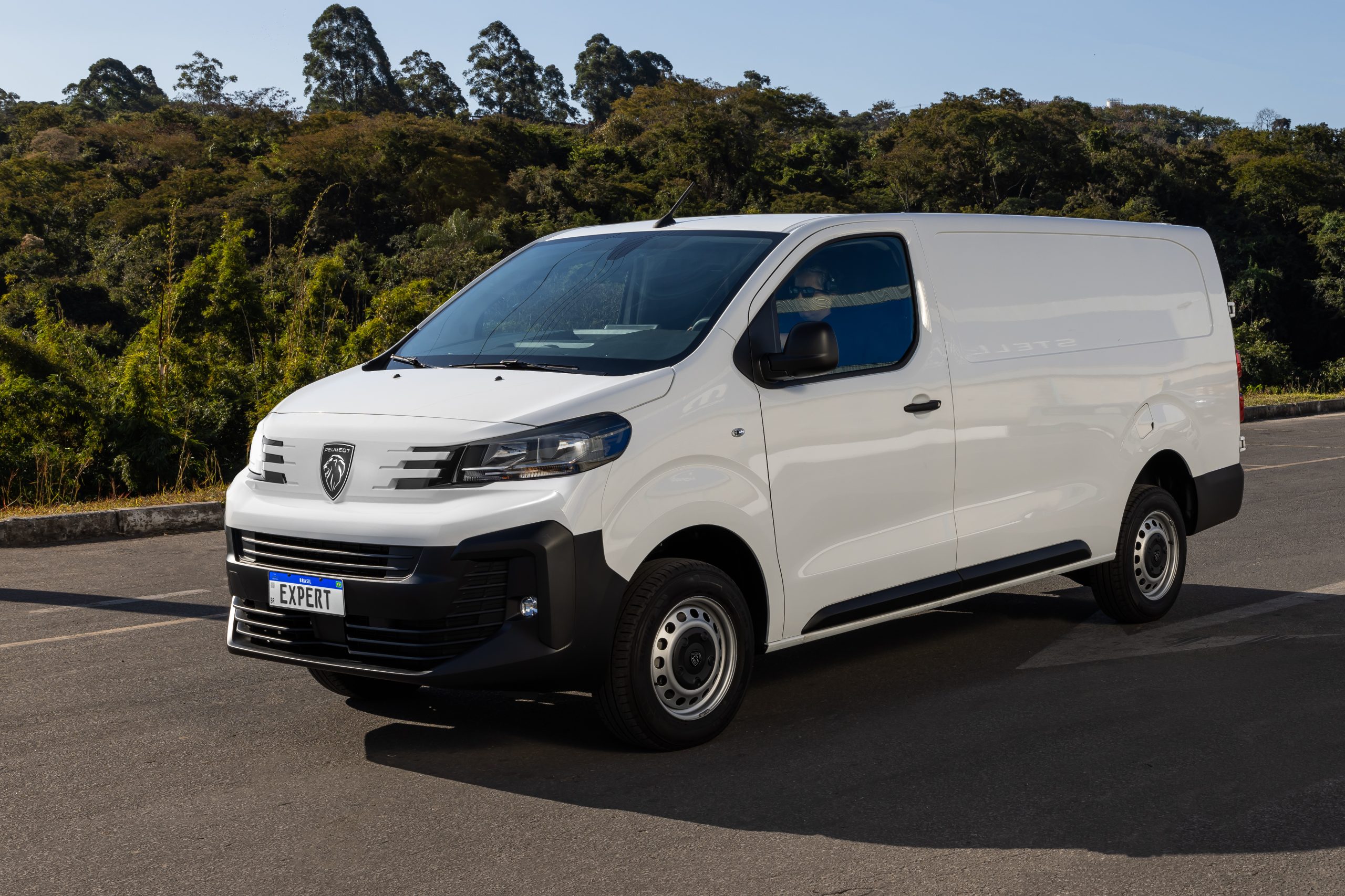 Peugeot_Expert_My25_amb_003
